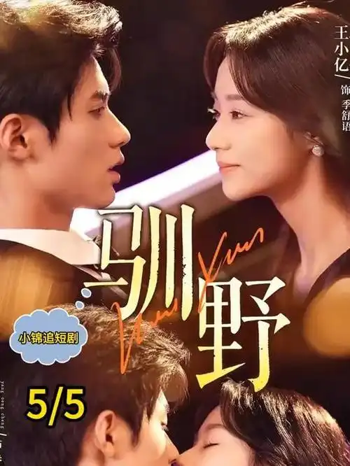 雾港迷案 热播榜
